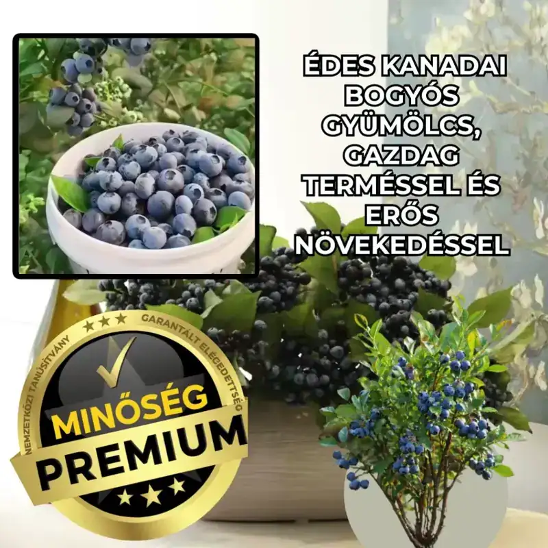 Canadian Sweet Fruit Bush – BerryGoId™